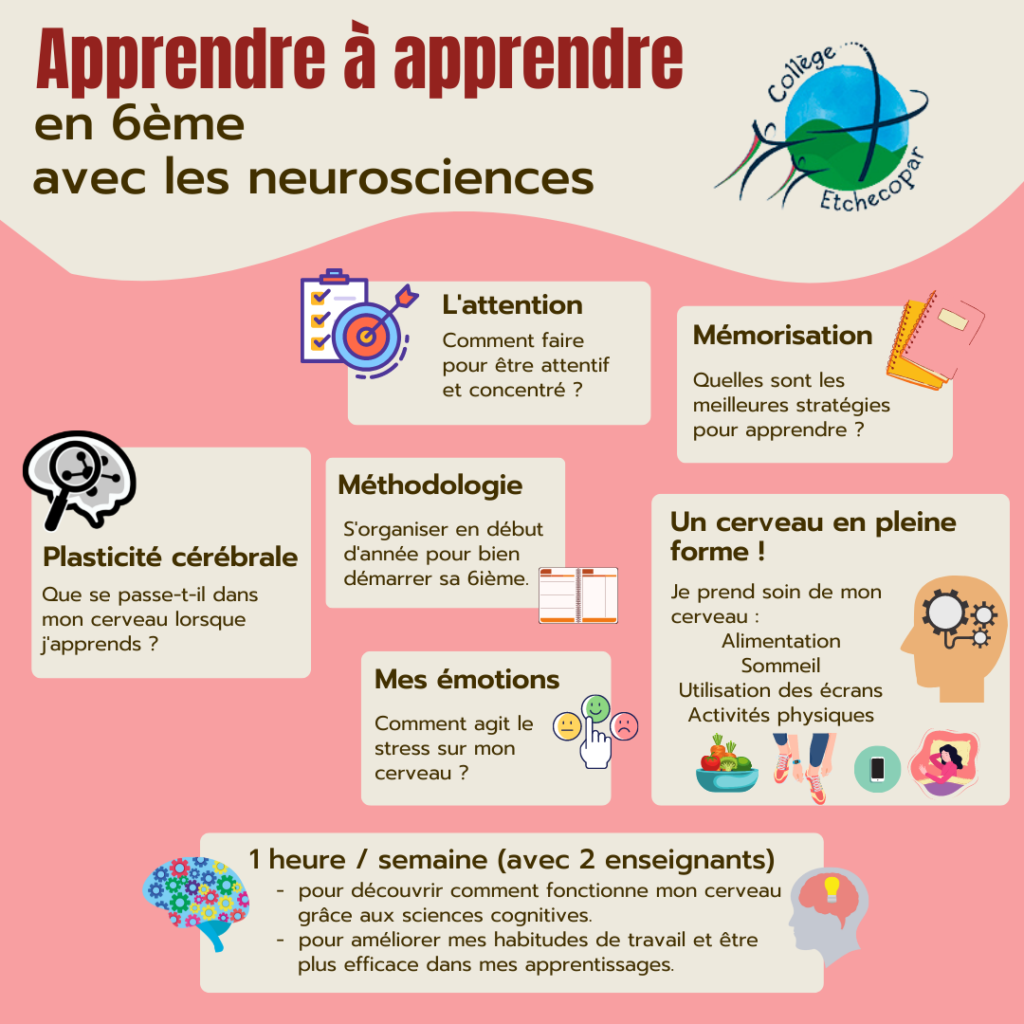 Un nouveau projet en 6e : « Apprendre à apprendre » – passeport pour  l'avenir